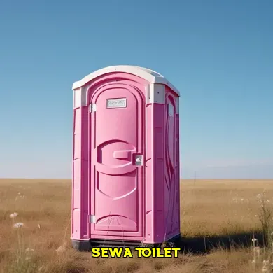 sewa toilet